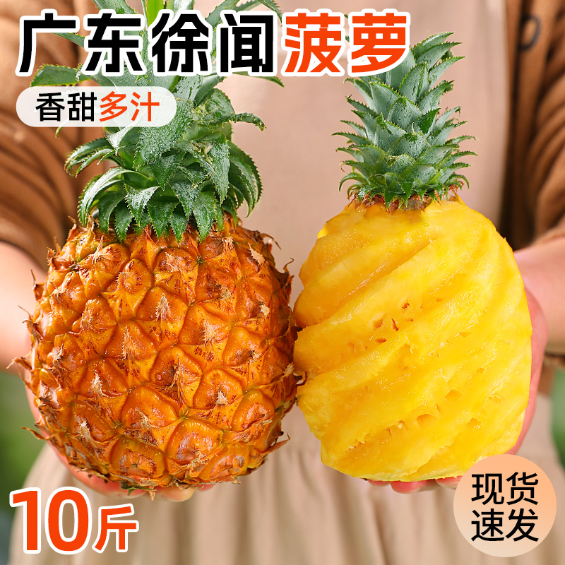 广东徐闻菠萝10斤新鲜水果香水菠萝手撕凤梨金钻波萝大果整箱包邮