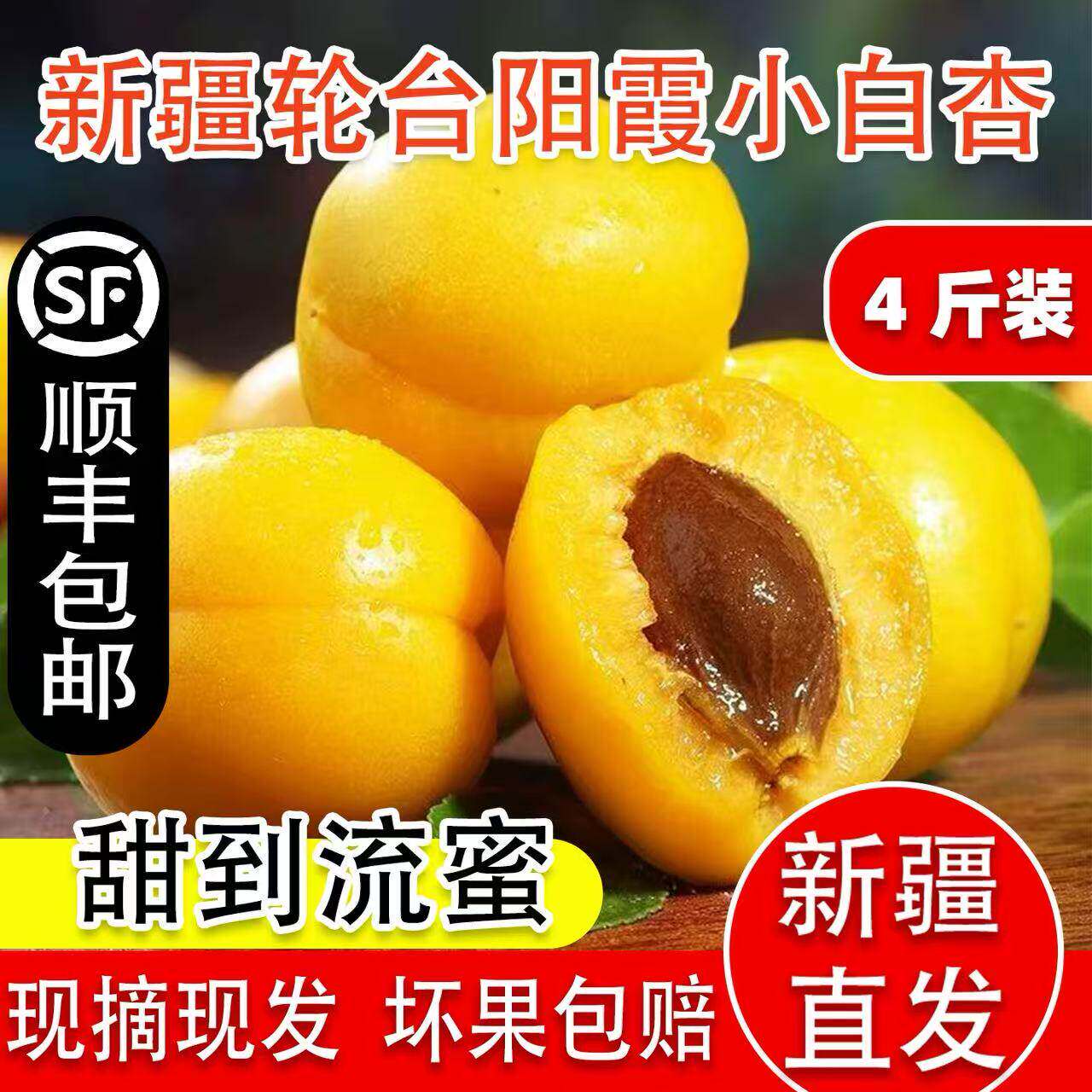 正宗新疆轮台阳霞小白杏