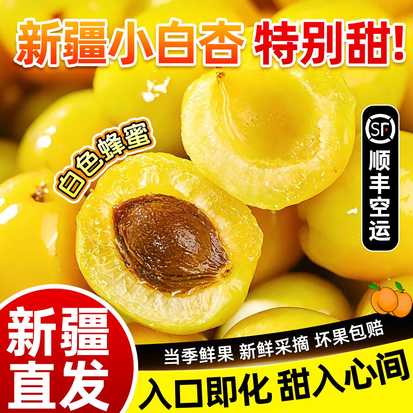 新疆轮台小白杏应当季新