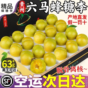 空运礼盒 5斤正宗贵州六马蜂糖李子新鲜水果当季新鲜整箱孕妇脱骨