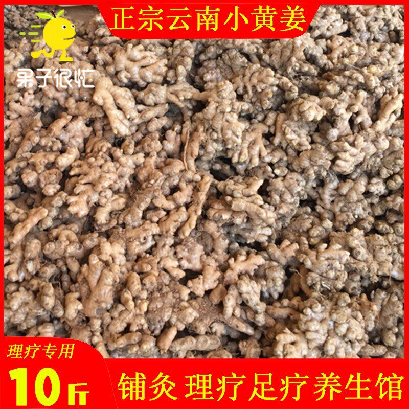 小黄姜批发老姜饭店理疗店用
