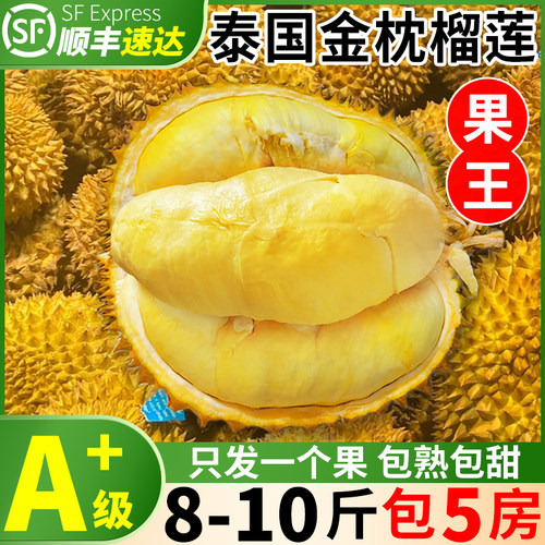 植都A+级包5A+级包5房泰