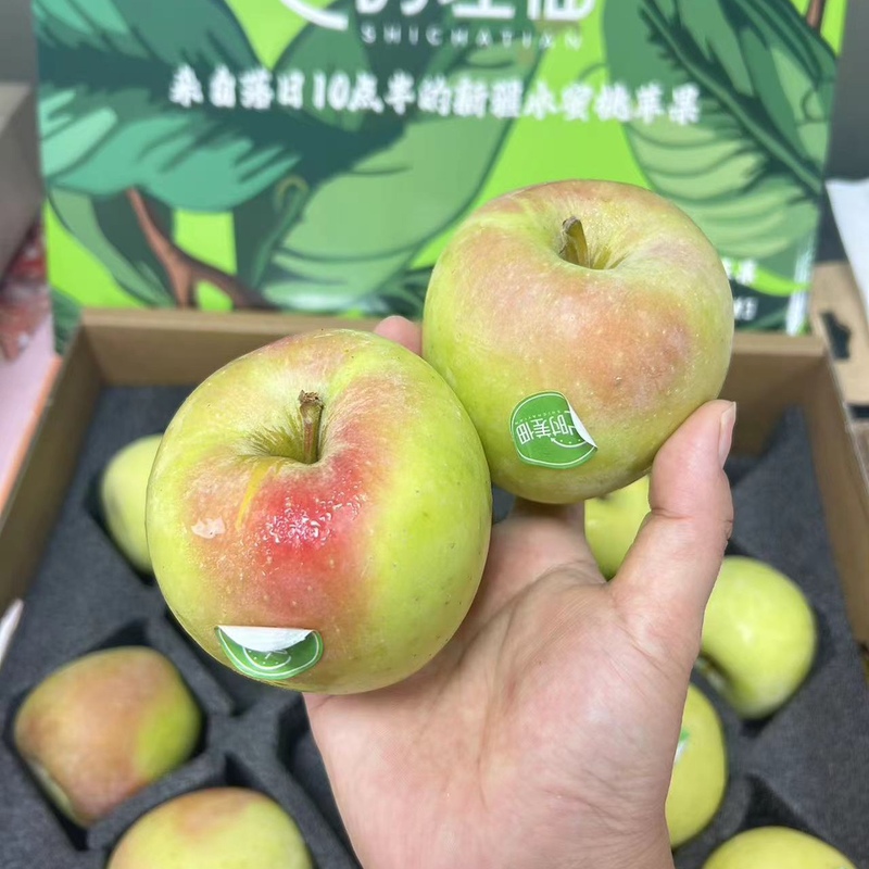 新疆阿克苏青森水蜜桃王