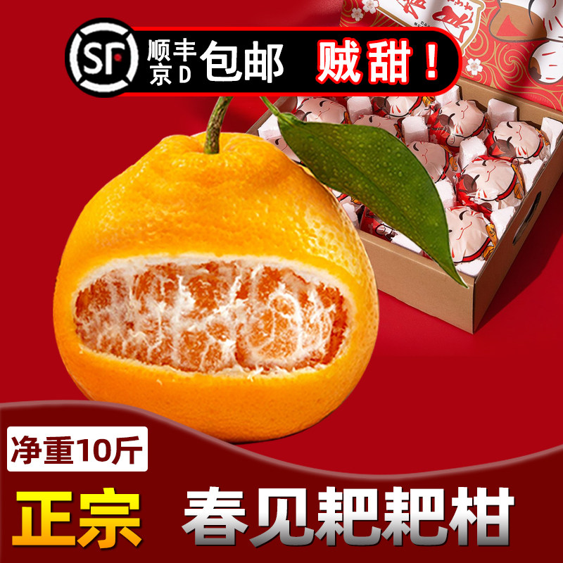 四川丑橘新鲜耙耙柑橘子水果桔子粑粑柑10斤杷杷柑整箱丑八怪顺丰