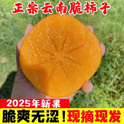 正宗云南脆柿子新鲜水果当季硬脆甜糖心巧克力次郎富有吉柿整箱装