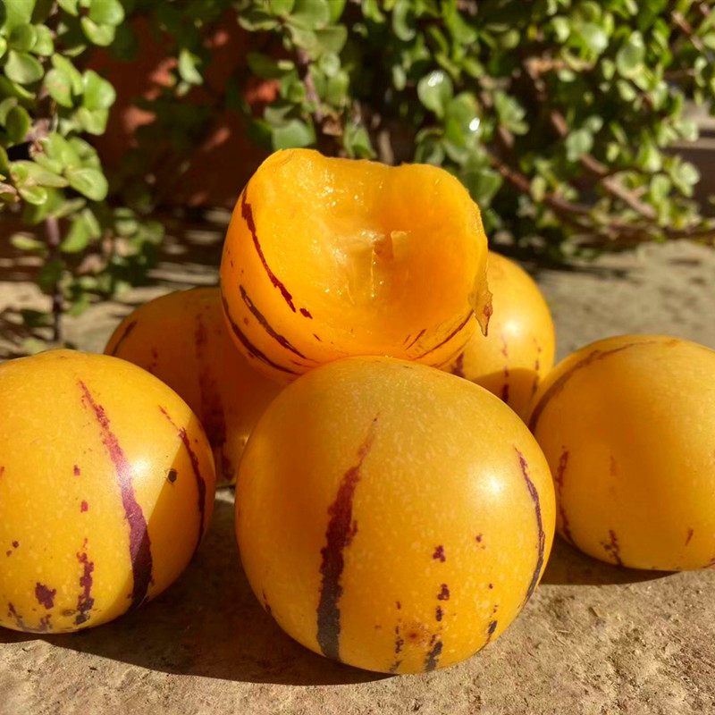 云南石林人参果圆果10斤整箱时令新鲜孕妇水果黄肉中大果整箱包邮