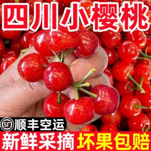 四川小樱桃新鲜水果国产攀枝花米易黄樱桃贵州重庆水晶酸甜土樱桃
