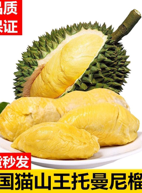 【稀有品种】泰国鲜果托