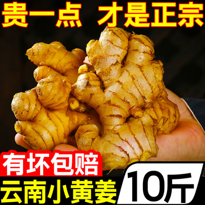 新鲜小黄姜云平小黄姜老姜10斤
