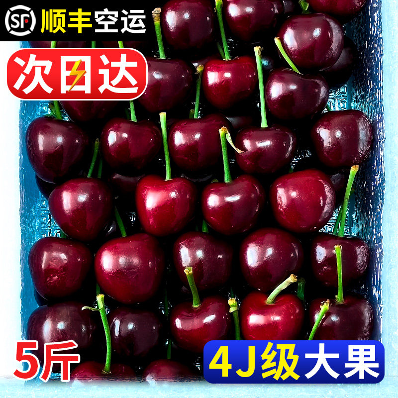 美国车厘子新鲜水果包邮5斤装礼盒当季整箱进口大樱桃孕妇3j4j5j