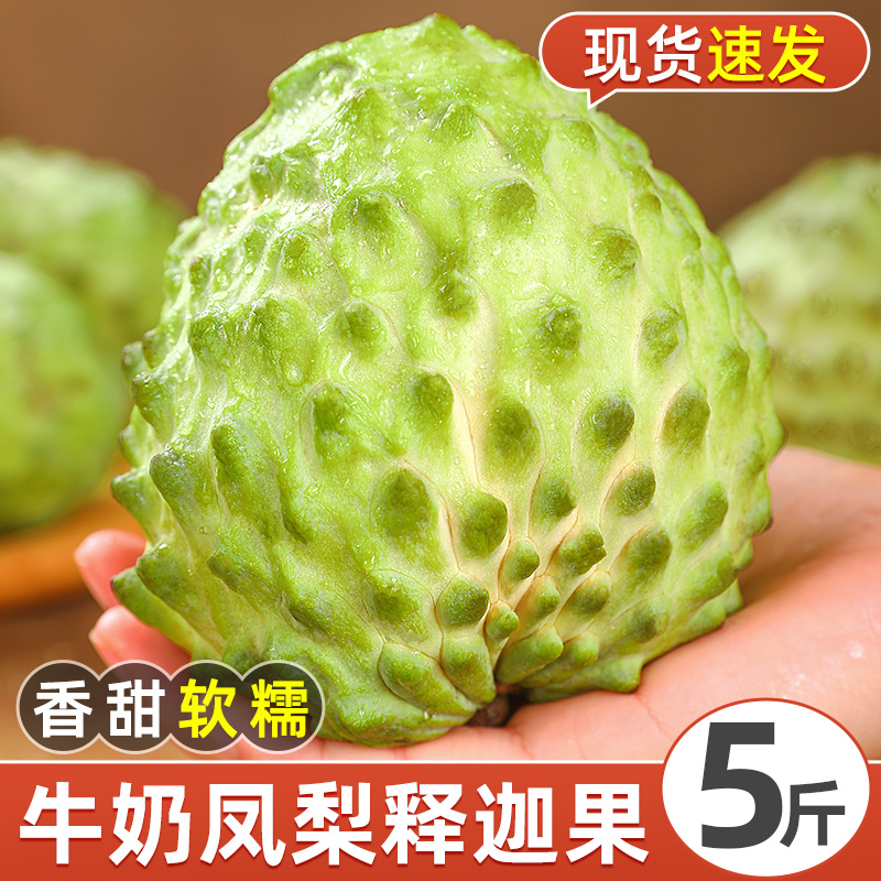 释迦果新鲜番荔枝5斤大目