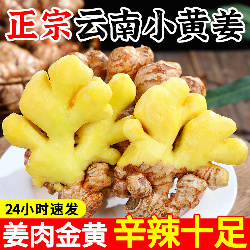2025云南小黄姜10斤新鲜现挖小