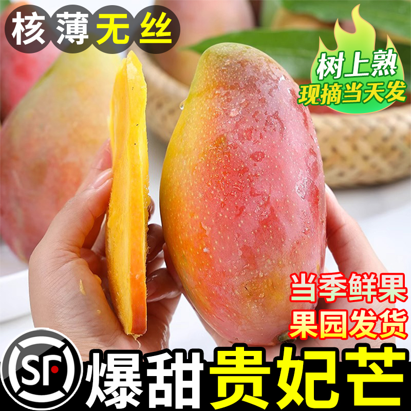 海南贵妃芒果新鲜芒果10斤树上熟现摘当季红金龙甜心芒果孕妇水果