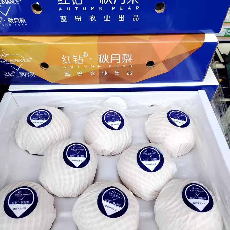 红钻秋月梨特大果冰糖甜
