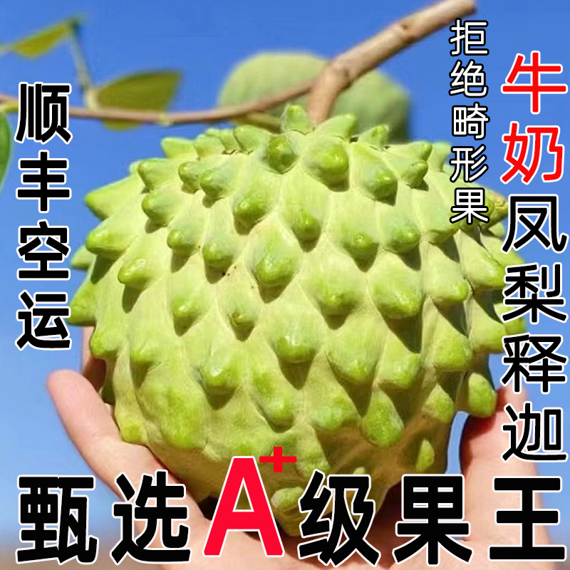 顺丰包邮特大果云南牛奶凤梨释迦果新鲜现摘水果9斤现摘释加礼盒