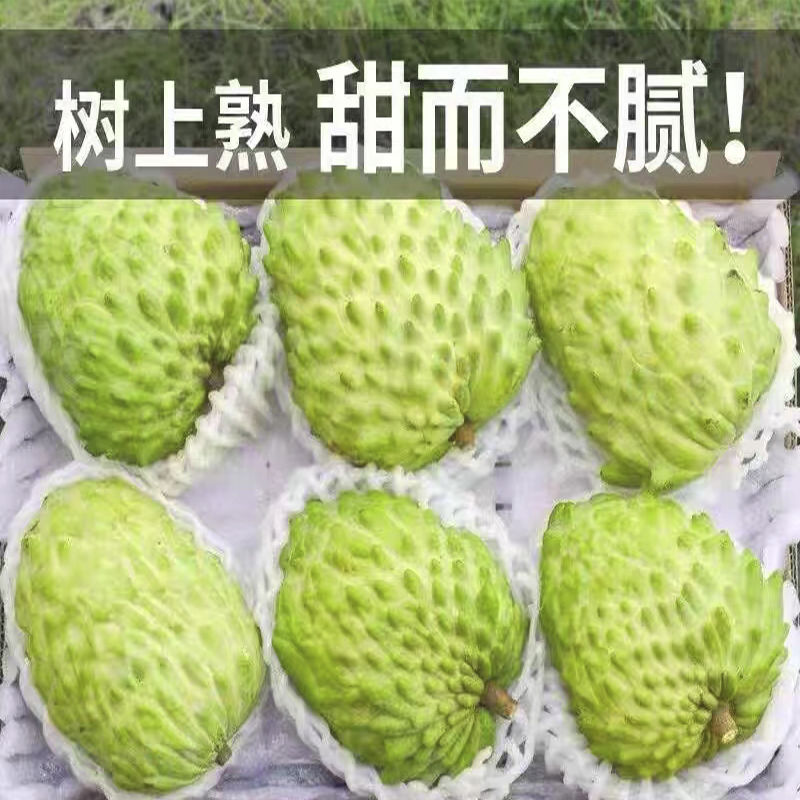 释迦果空运新鲜现摘热带