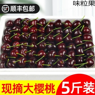 大连美早大樱桃5斤国产车厘子新鲜应当季孕妇水果整箱3j顺丰