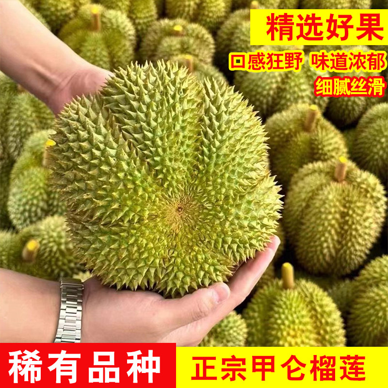 正宗泰国甲仑榴莲顺丰包邮新鲜带壳整个当季孕妇水果榴莲奶香浓郁
