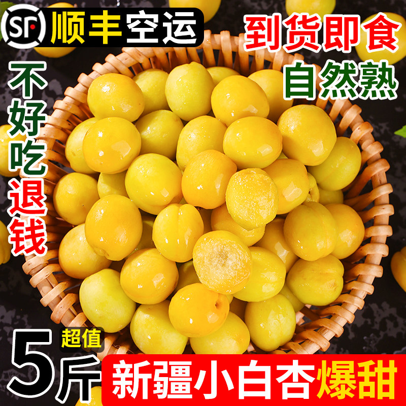 新疆小白杏轮台新鲜水果库车白杏子甜杏特产当季整箱胜小红杏顺丰