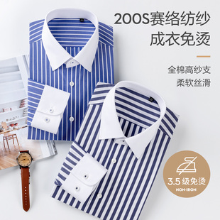 200S全棉DP成衣免烫男士 衬衫 高端商务男装 撞色领条纹休闲衬衣 长袖