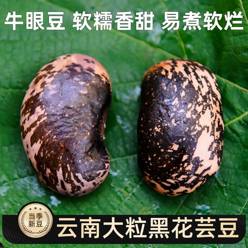 云南大黑花芸豆牛眼豆大花豆黑芸豆新货大肾豆农家自产杂粮特产