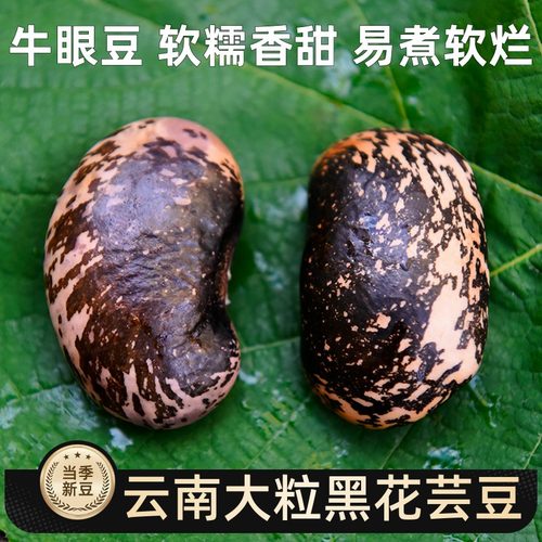 云南大黑花芸豆牛眼豆农家自种新
