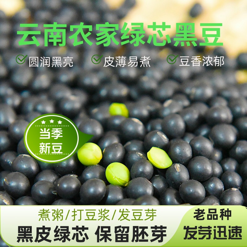 云南小黑豆黑皮绿心打豆浆发豆芽