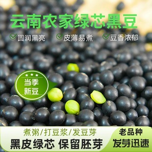 云南农家新货小黑豆黑皮绿心青仁乌豆种子杂粮粗粮醋泡豆浆豆芽