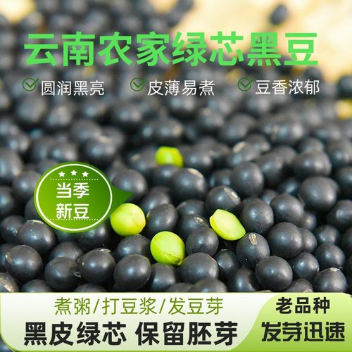 云南小黑豆黑皮绿心打豆浆发豆芽