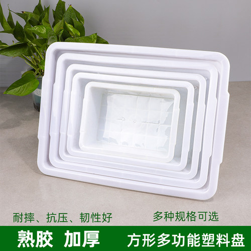 塑料长方白色食品盒小盘子批发