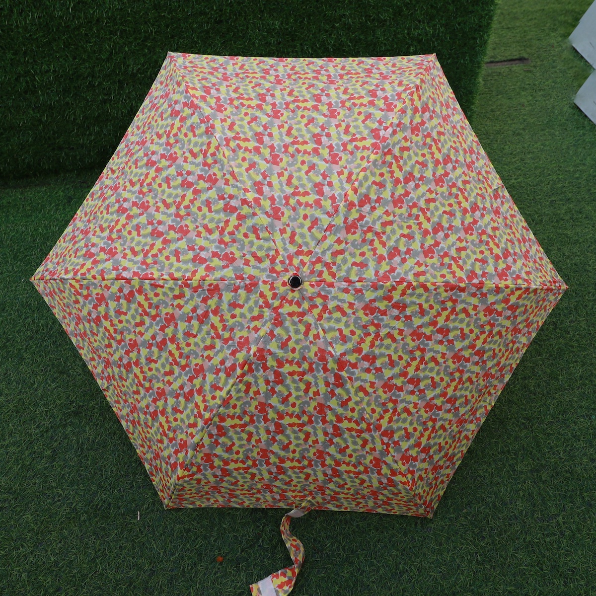 五节小巧巴掌大全铝伞骨轻量便携时尚花伞晴雨兼用女伞出口日本
