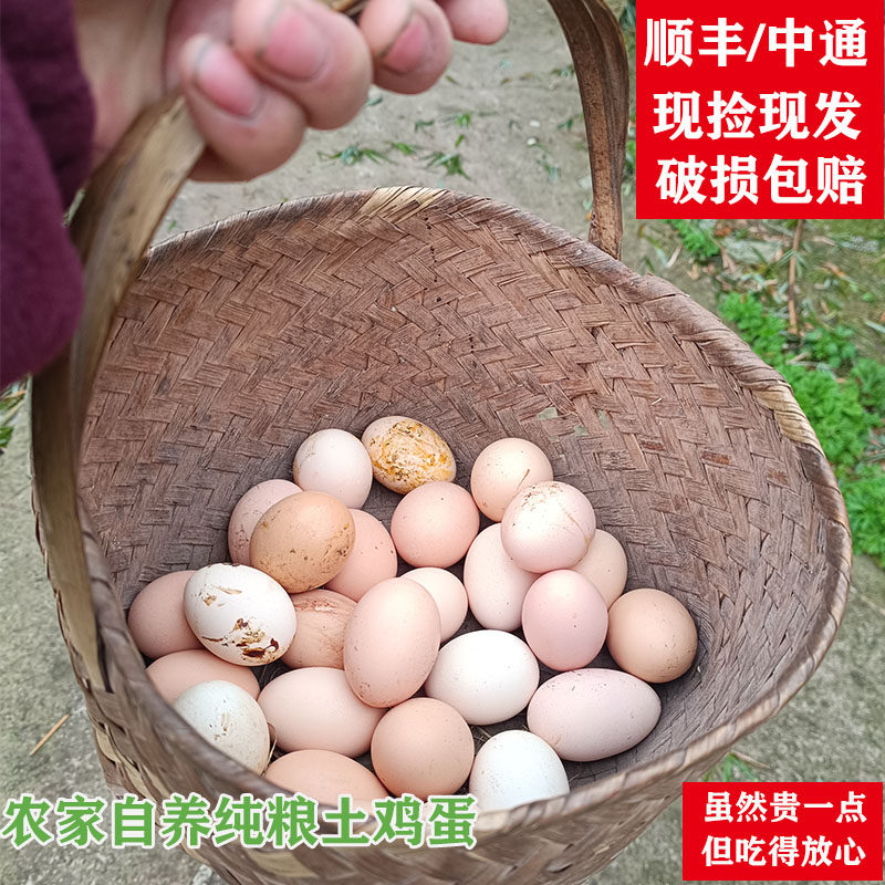 广安正宗土鸡蛋农家散养新鲜草鸡蛋五谷喂养四川孕妇农村笨鸡蛋