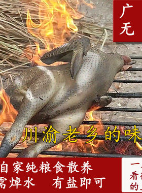 四川广安乌皮土鸡真空包装炖汤香