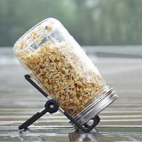 masonjar玻璃家用苜蓿绿豆生豆芽