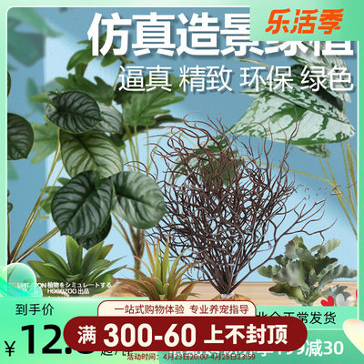 爬宠箱造景植物雨林沙漠植物造景热带龟箱仿生态绿色生态缸装饰