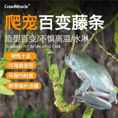 CrawlMiracle造景仿真可随意造型