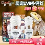 Подниматься на пету -кальций легкая световая ящерица UVB Lights Light -Sales Energy Light Bubble Bubble MultiSanade Poles Desert 10.0