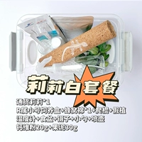 Пакет размножения Lili Bai содержит живое тело