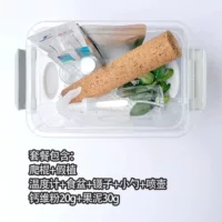 Коробка для размножения для размножения для новичков не содержит живого тела