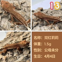 № 13 Двойная красная лилия 1,5 г