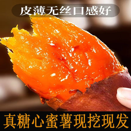 山东烟薯25号蜜薯 烤地瓜糖心番薯农家自种新鲜红薯9斤农科院山芋