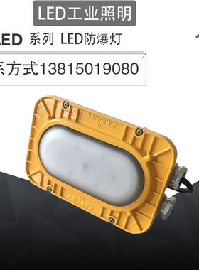 专业BFC8123生产防爆低顶灯吸顶灯过道灯油库灯40W 电缆隧道用灯
