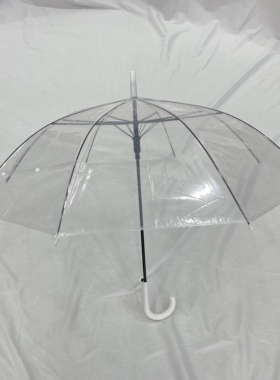 透明雨伞长柄小清新两用网红简约学生伞平价家用女日系轻便自动伞