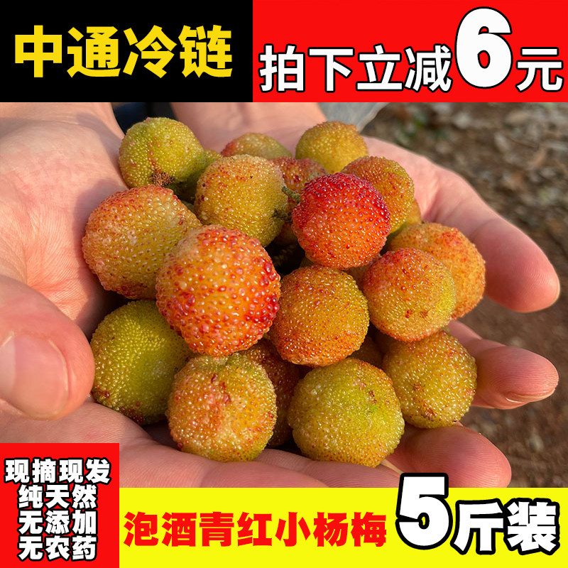青红野生小杨梅新鲜水果现摘泡酒山杨梅开胃酸果子酸甜当季孕妇果