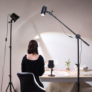 led射灯双色聚光灯 人像发丝摄影太阳灯舞台直播间顶灯 小红书同款