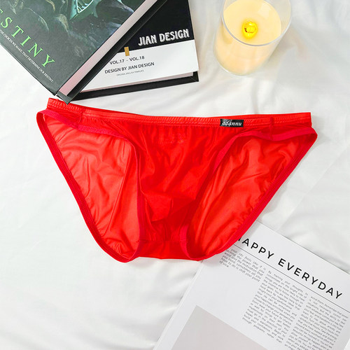 ADANNU男三角内裤透明超薄网纱