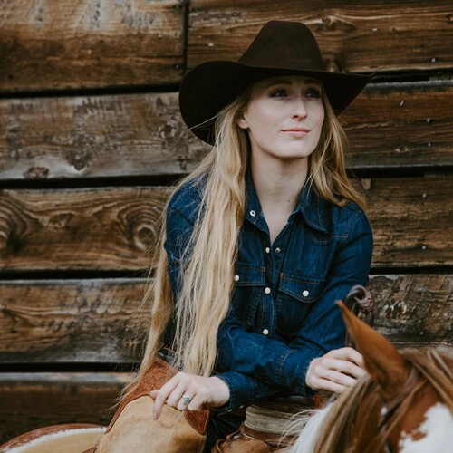 STETSON美国手产羊毛呢毡帽草原帽卷边西部牛仔帽男女骑马大檐帽