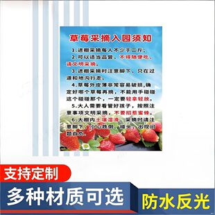 草莓采摘园水果农场葡萄园草莓园采摘园入园须知标示牌提示牌