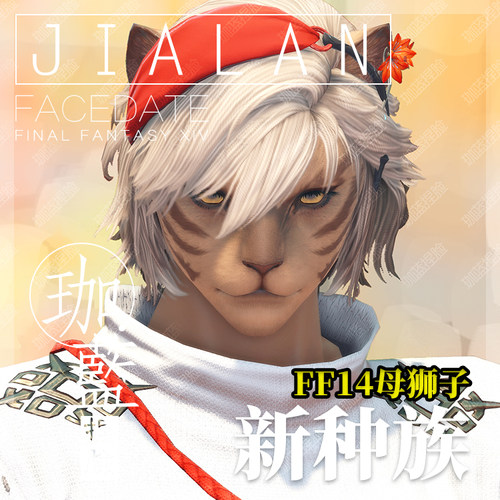 【珈蓝】ff14捏脸 最终幻想14数据脸型 狮子族母狮子 黑大猫 青野
