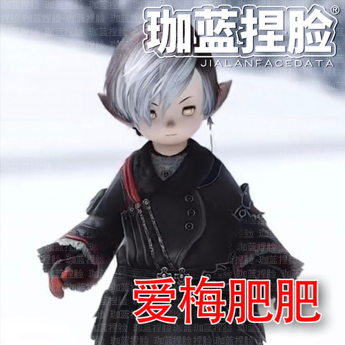 【珈蓝】ff14捏脸 最终幻想14脸型数据 -爱梅肥肥NPC-公肥 拉拉肥